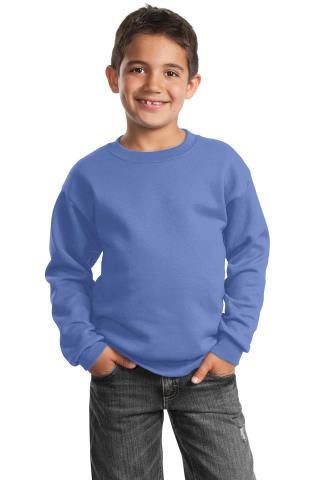 Youth Crewneck Sweatshirt