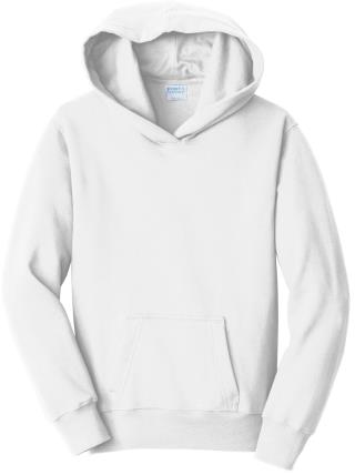 Youth Fan Favorite Fleece Pullover Hooded Sweatshirt